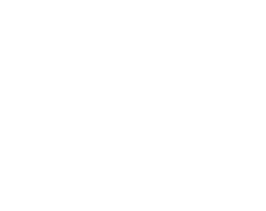 HZX logo