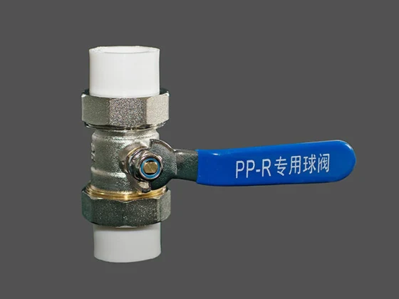 Ppr Double Union Brass Ball Valve product image